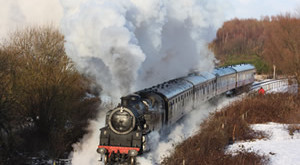2019 Steam Gala image