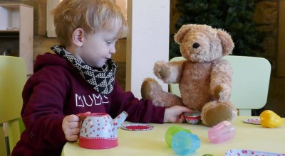 Afternoon Tea at Almond Valley and Teddy Bears Woodland play area image