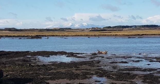 the view from the workshop at irvine, across the SSSI