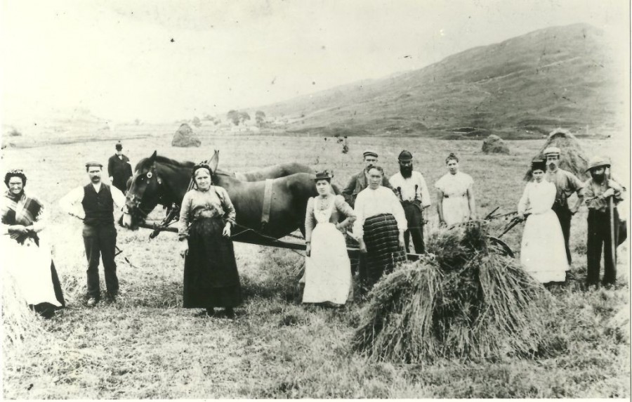 photograph of women and men at work in field at Auchindrain 1870s