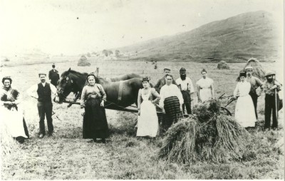 Harvesting oats at Auchindrain image