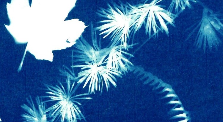 Printmaking Taster Day Workshop image