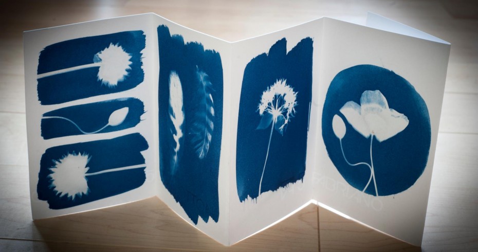 image of small concertina book illustrated with cyanotype iamges