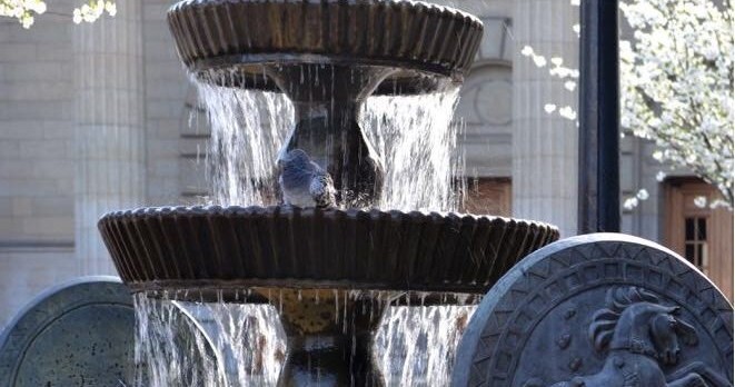 image of fountain in dundee, included in local life exhibition