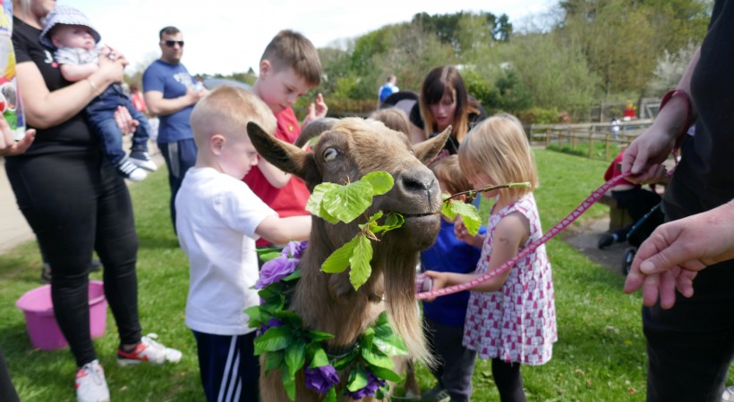 A Brilliant Beltane at Almond Valley image