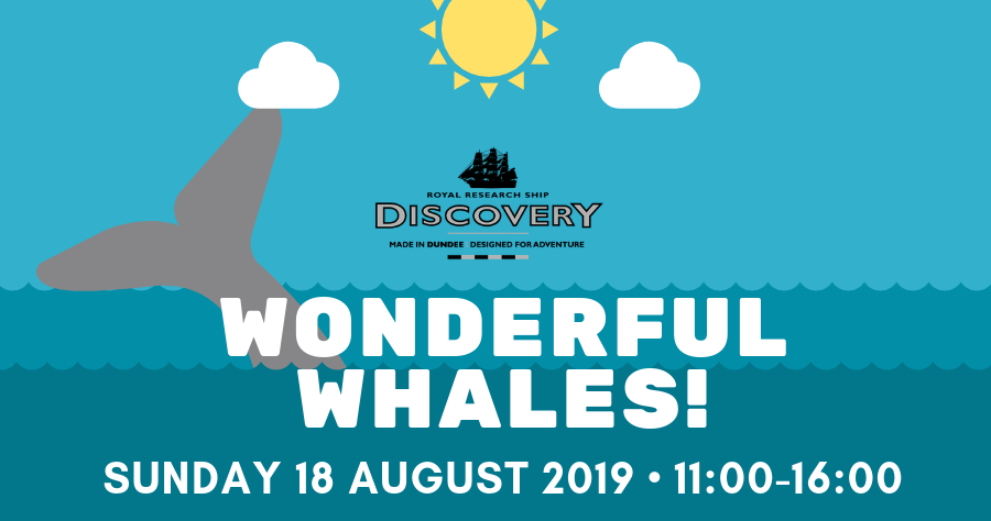 wonderful whales banner image