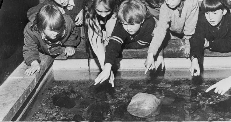 black and white image of children looking in to an aquarium