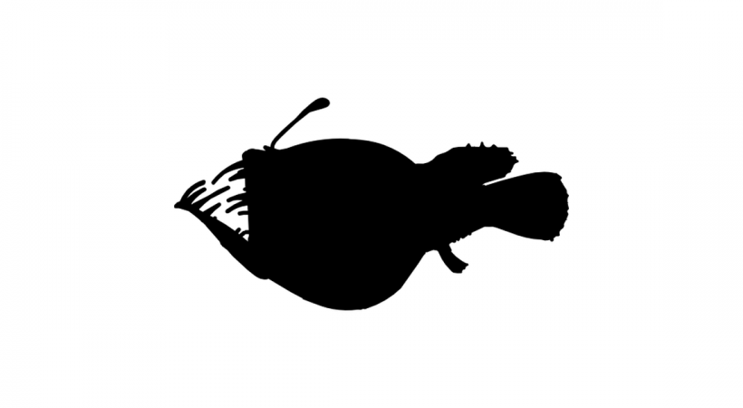Deep Sea Shadow Puppets image