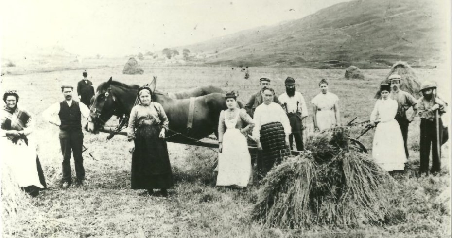 harvesting pic crop