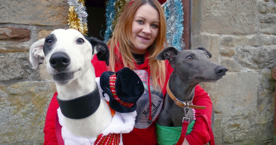woman with two greyhounds woman with two greyhounds