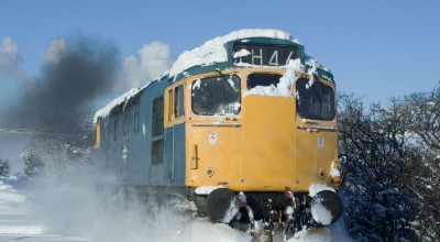 Winter Diesel Gala image