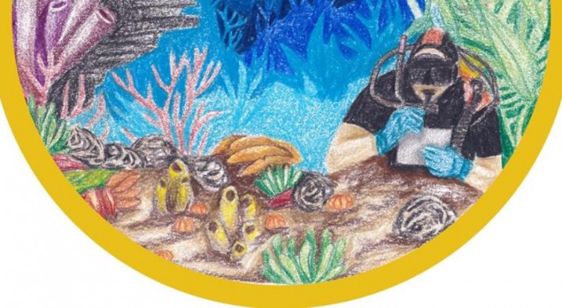 Sea Change image