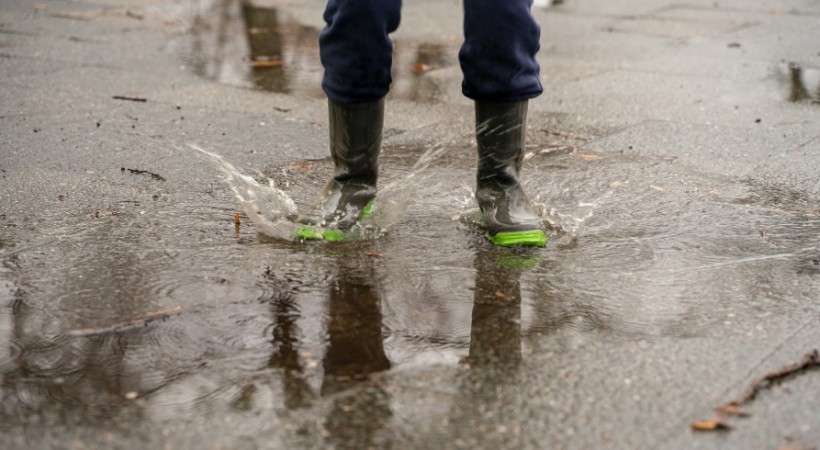 The Science of Being Drookit image