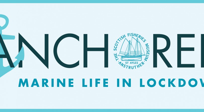 The Scottish Fisheries Museum presents: Anchored - Marine Life in Lockdown image