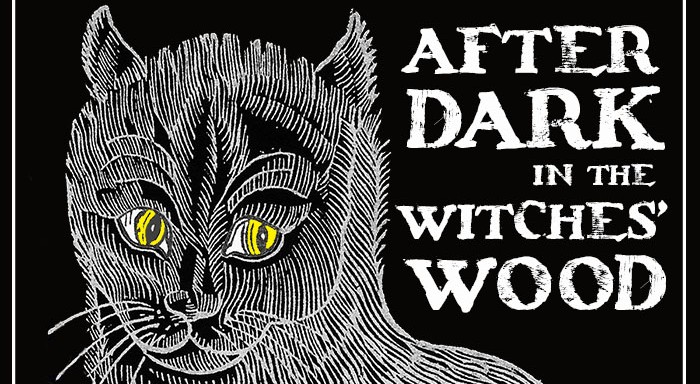 After Dark in the Witches Wood image