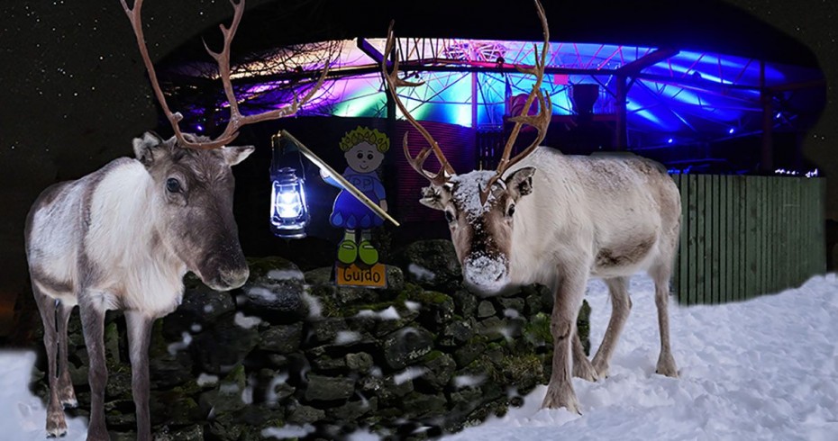 reindeer in snow and a parafin pixie