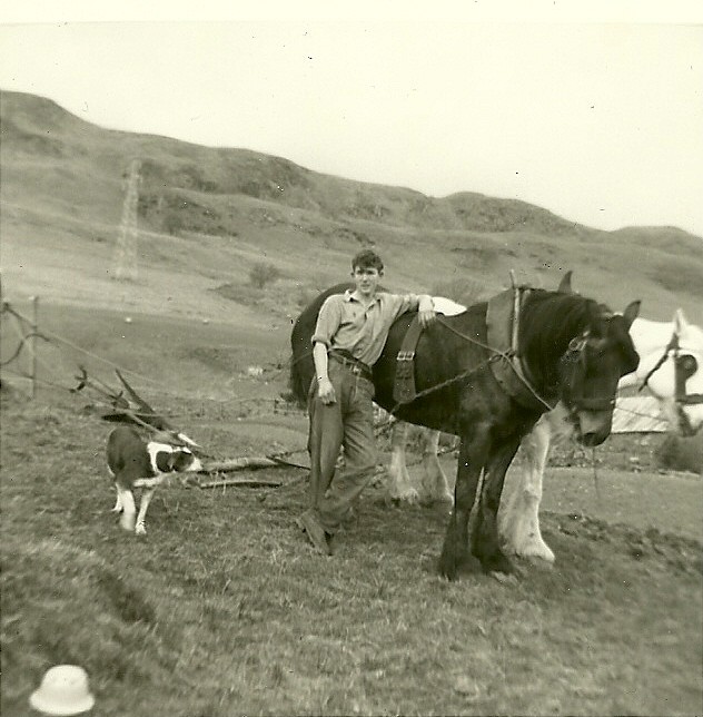 Photograph of Auchindrain, picturing Willie Weir, farm hand from 1956 until the MacCallum family left in 1963. Horses Polly and Rona are hooked up to a plough, ready to plough Auchindrain's Big Field