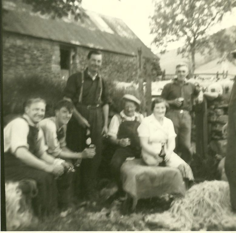 Photograph of sheep shearing at Auchindrain