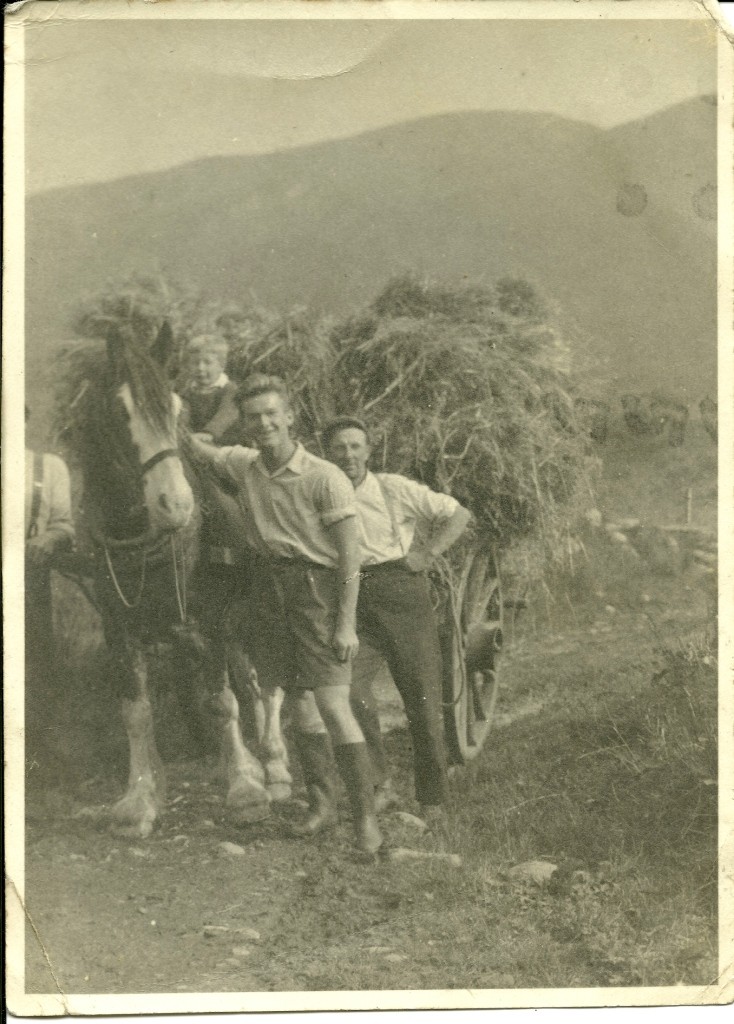 Photograph of Auchindrain's hay harvest, taken in the late 1940s