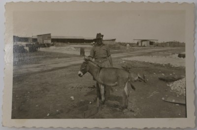 Photograph of a soldier and a donkey image